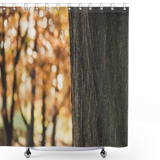 Personality  Tree Bark Shower Curtains