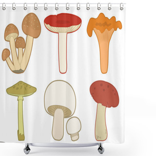 Personality  Colorful Mushrooms Vector Set. Different Mushrooms. Shower Curtains