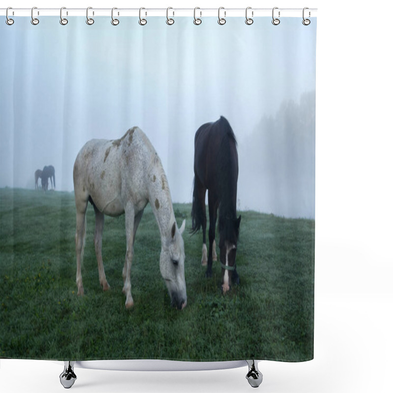 Personality  grazing shower curtains