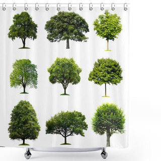 Personality  Trees Collection Shower Curtains
