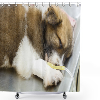 Personality  Illness Puppy With Intravenous Drip Shower Curtains