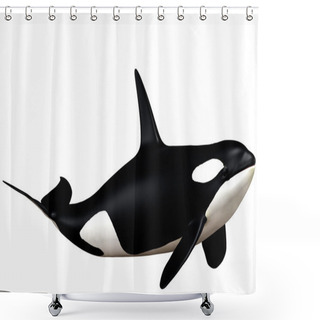 Personality  Killer Whale Shower Curtains