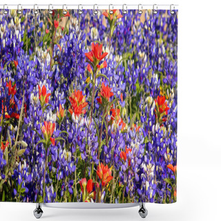 Personality  Spring Wildflowers In Central Texas - Background Shower Curtains