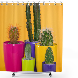 Personality  Close-up View Of Beautiful Various Green Succulents In Colorful Pots Isolated On Yellow  Shower Curtains
