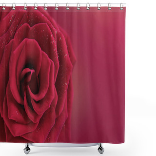 Personality  Beautiful Rose Flower Shower Curtains