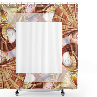 Personality  Tropical Seashells Isolated On White. Watercolor Background Illustration Set. Frame With Copy Space. Shower Curtains