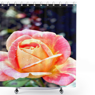 Personality  Romantic Rose Shower Curtains