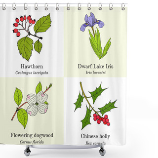 Personality  Set Of Edible And Medicinal Plants Shower Curtains