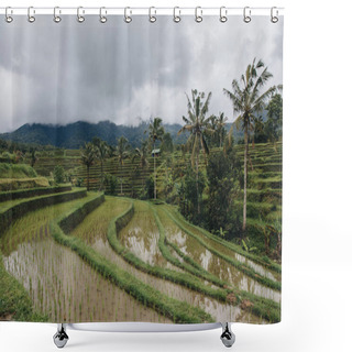 Personality  Rice Terraces Shower Curtains
