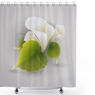 Personality  Vector Illustration Of Calla Flowers. Shower Curtains