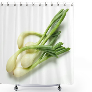 Personality  Fresh Green Onions Isolated On White Background, Top View Shower Curtains