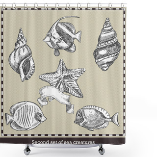 Personality  Set Of Sea Fish,seashell And Starfish. Retro Style Vector Illustration. Isolated On Grey Background Shower Curtains