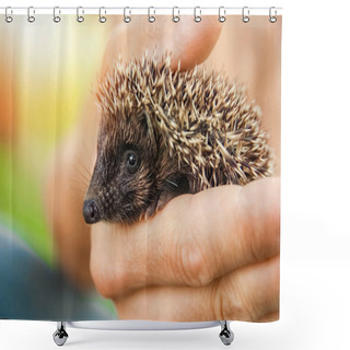 Personality  Small Prickly Hedgehog In The Hands Of Green Grass Closeup Shower Curtains