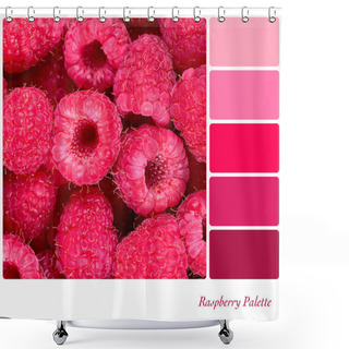 Personality  Raspberry Palette Shower Curtains