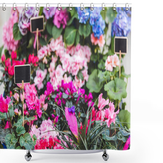 Personality  Colorful Blooming Flowers In Pots With Empty Tags In Flower Shop Shower Curtains