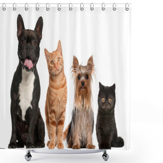 Personality  Group Of Cats And Dogs Sitting In Front Of White Background Shower Curtains