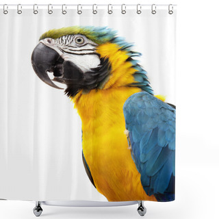 Personality  Macaw Parrot Shower Curtains