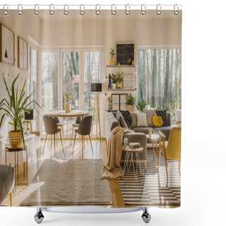 Personality  Chairs At Dining Table In Modern Bright Open Space Interior With Beige Carpet Near Plant Shower Curtains