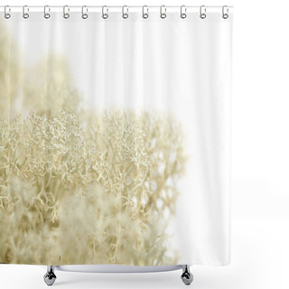 Personality  Reindeer Lichen Isolated On White  Shower Curtains