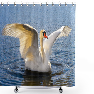 Personality  Swan Shower Curtains