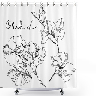 Personality  Vector Orchid Floral Botanical Flowers. Black And White Engraved Ink Art. Isolated Orchids Illustration Element. Shower Curtains