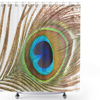 Personality  Close Up Of Peacock Feather On A White Background Shower Curtains