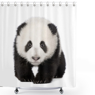 Personality  Giant Panda (4 Months) - Ailuropoda Melanoleuca Shower Curtains