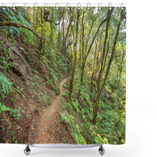Personality  Rain Forest In Garajonay National Park , La Gomera, Canary Islands,  Spain. Shower Curtains