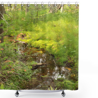 Personality  Spring In Green Wood Shower Curtains