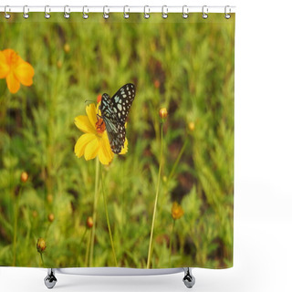 Personality  Closeup Butterfly On Flower, Butterfly On Flower In Garden, Flower Blurry Background With Butterfly. Butterfly Pea On Flower, Black And White Butterfly Closeup With Green Background With Green Leaf, Butterfly On Flower Taking Food , Black Butterfly  Shower Curtains