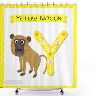 Personality  Letter Y Uppercase Cute Children Colorful Zoo And Animals ABC Alphabet Tracing Flashcard Of Yellow Baboon Monkey For Kids Learning English Vocabulary And Handwriting Vector Illustration. Shower Curtains
