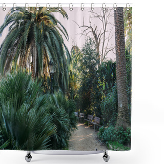 Personality  Green Trees And Bushes, Bunches And Walking Path In Parc De La Ciutadella, Barcelona, Spain Shower Curtains