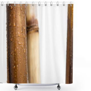 Personality  Bamboo Varnished Logs With White Background And Raindrops Shower Curtains