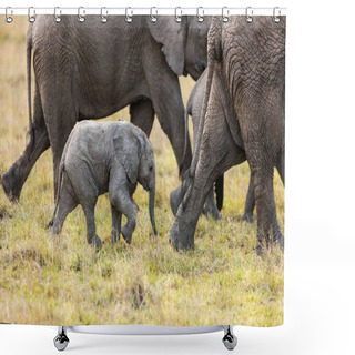 Personality  Elephants In Africa Shower Curtains