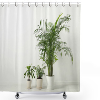 Personality  Tropical Plants With Lush Leaves On Floor Near White Wall Shower Curtains