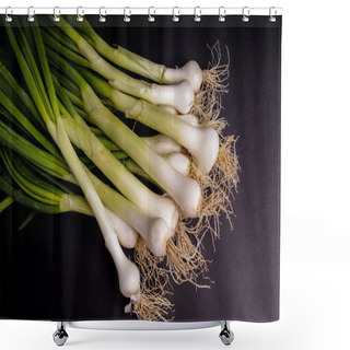 Personality  Fresh Organic Spring Onion Shower Curtains