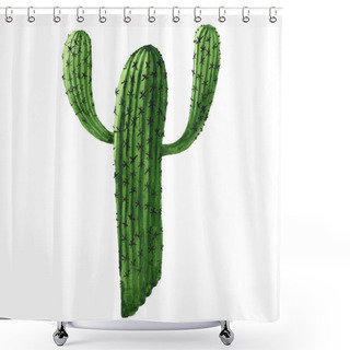 Personality  Green Cactus Floral Botanical Flower. Watercolor Background Illustration Set. Isolated Cacti Illustration Element. Shower Curtains