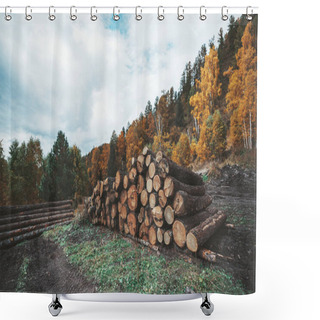 Personality  Side Wide-angle View Of A Heap Of Raw Tree Trunks Prepared For  Woodworking, With An Autumn Wood Behind; A Logging Camp With Multiple Recently Cut Timbers In Fall Forest In The Countryside Shower Curtains