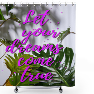 Personality  Fresh Tropical Green Leaves On White Background With Let Your Dreams Come True Illustration Shower Curtains