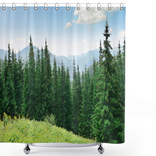 Personality  Beautiful Pine Trees Shower Curtains