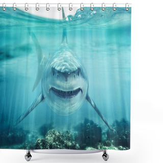 Personality  A Predator Great White Shark Swimming In The Ocean Coral Reef Shallows Just Below The Water Line Closing In On Its Victim . 3d Rendering With God Rays Shower Curtains