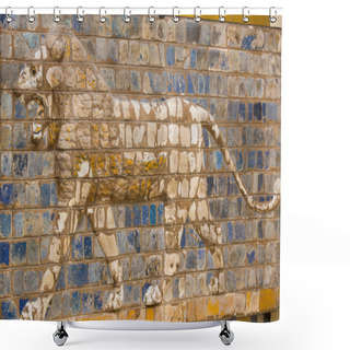 Personality  Tiled Old Wall Shower Curtains