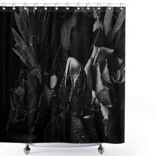 Personality  Black And White Bouquet Studio Backdrop Shot Shower Curtains