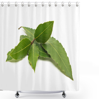 Personality  Fresh Bay Leaves Branch Isolated On White Background Shower Curtains