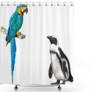Personality  Gentoo Penguin And Parrot Macaw Shower Curtains