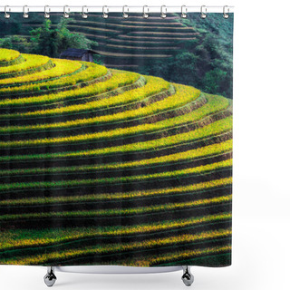 Personality  Landscape View Of Rice Fields In Mu Cang Chai District, Yen Bai Province, North Vietnam Shower Curtains