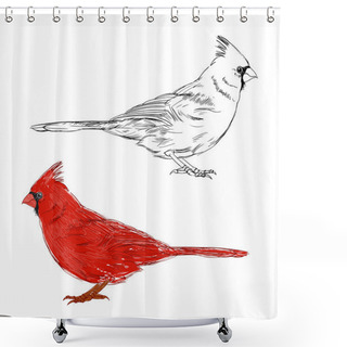 Personality  Cardinal Birds Set Shower Curtains