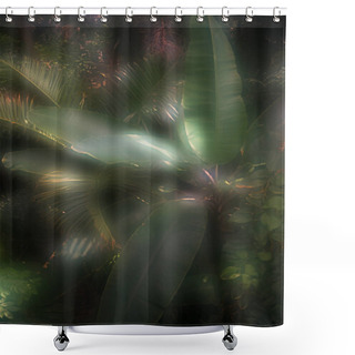 Personality  Toned Picture Of Palm Tree Leaves With Sunlight In Botanical Garden  Shower Curtains