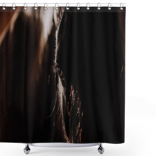 Personality  Selective Focus Of Beautiful Horse In Standing Stall At Zoo Shower Curtains