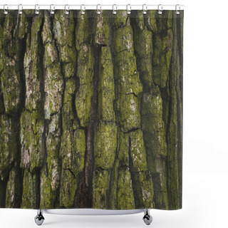 Personality  Cracked Rough Green Tree Bark Background Shower Curtains